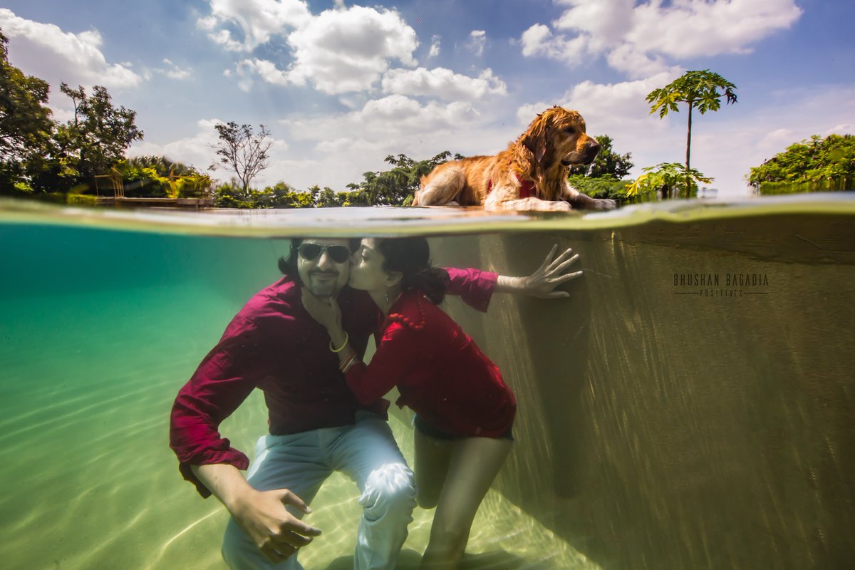 These are the kind of family photos I like to create. And it’s even more fun when it is for my good friend @rickykej & his family: Varsha & Hutchie. . . #rickykej #family #goldenretriever #musician #grammy #bhushanbagadiapositives