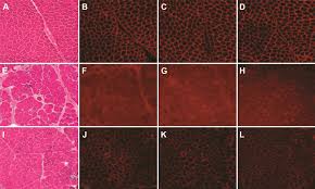 ClinicalPathol's tweet photo. #Pathology is the  study of #pathogens in modern medicine and diagnosis. https://t.co/mdutKu26B2