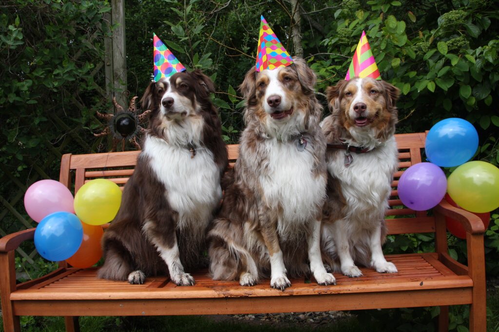 <a href="/ddnicole87/">Danielle Dodd</a> Happy Birthday😊🎉🎉🎉🎉