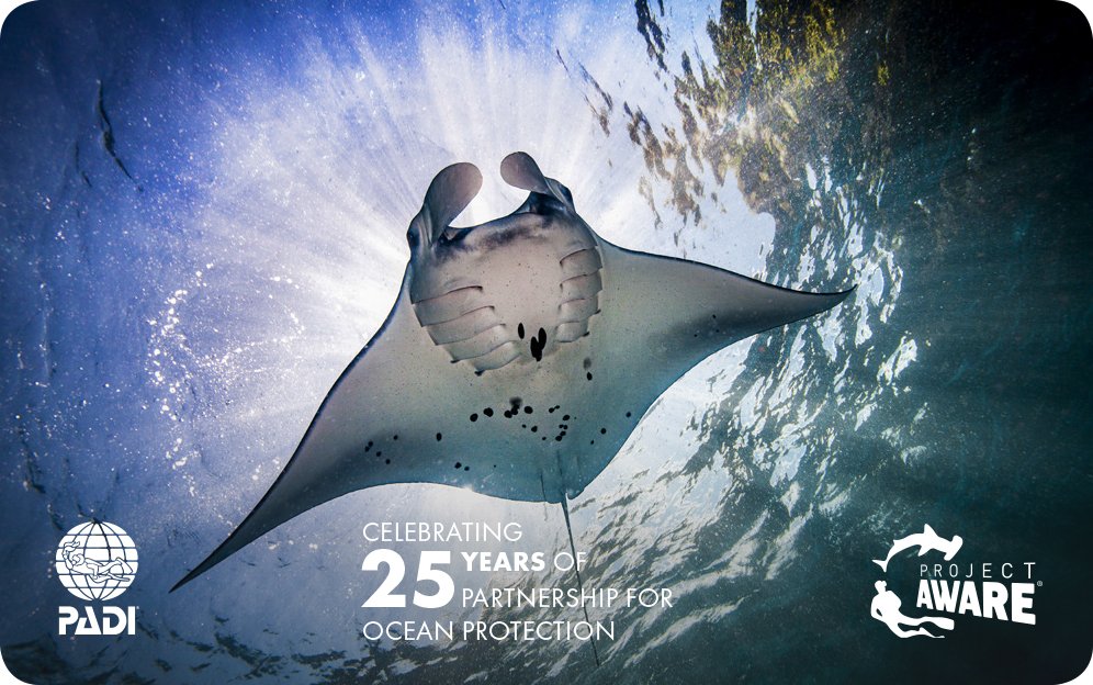 Happy #FlatSharkFriday - The New #25Years of Partnership for Ocean Protection <a href="/PADI/">PADI</a> limited edition card features the beloved 💙 #MantaRay. Get yours in 2018 to celebrate this milestone and support <a href="/projectaware/">Project Aware</a> conservation work goo.gl/MAZF28