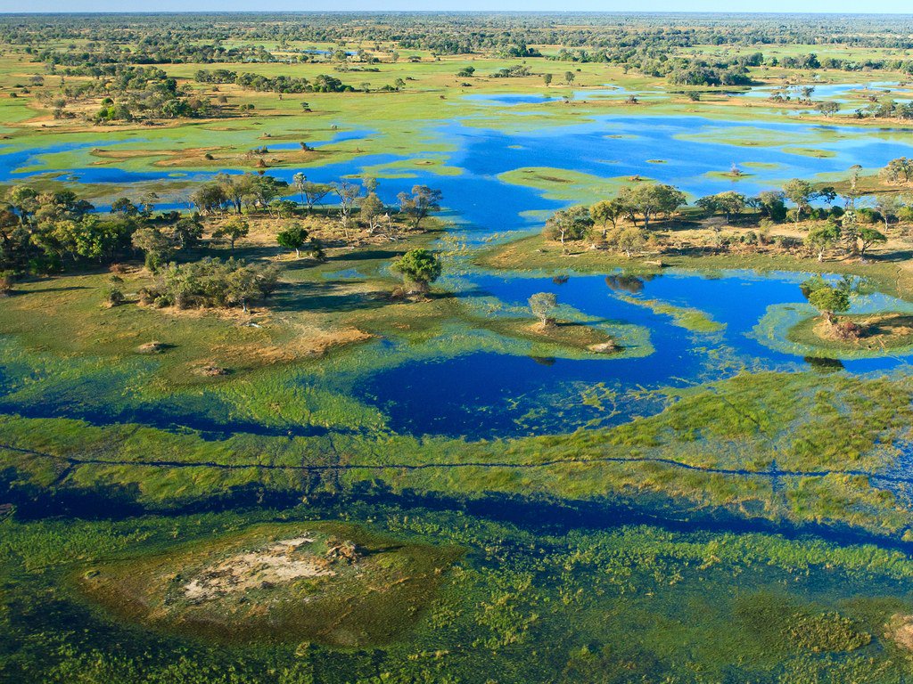 Okavango Delta, Botswana.