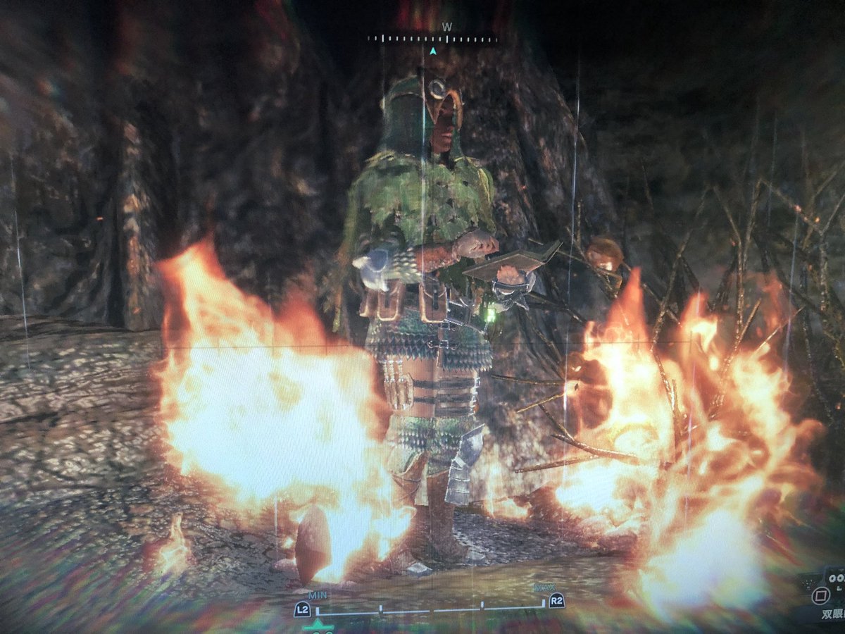 へちま 情熱の生物調査員 物理