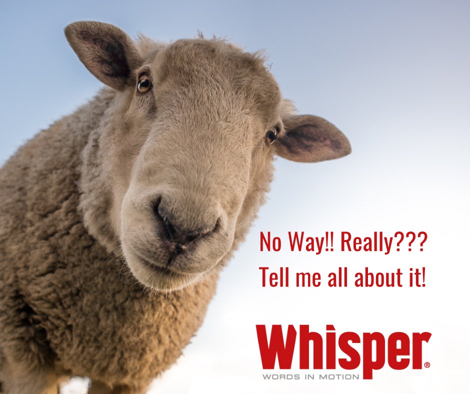 Whisper System tweet media