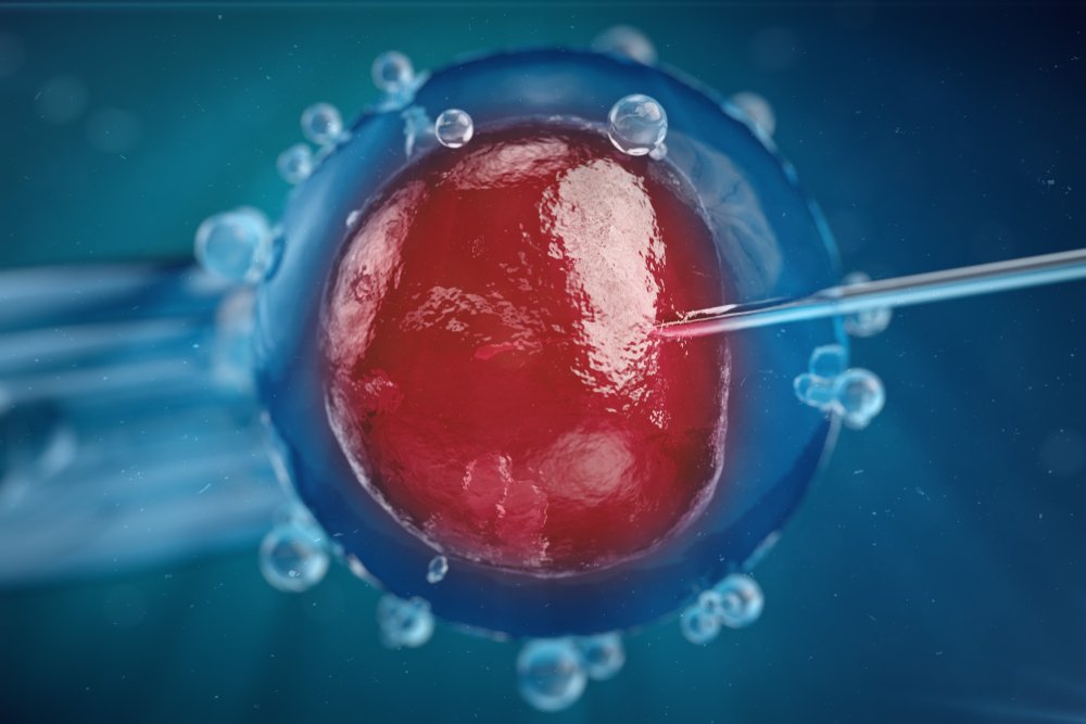 newlife_asia's tweet photo. Curious to find out just how long embryos can be stored? Read this blog to find out! 
https://t.co/MZVF2Re0IZ 

#embryos #embryostorage #babies https://t.co/2N9giFanSm