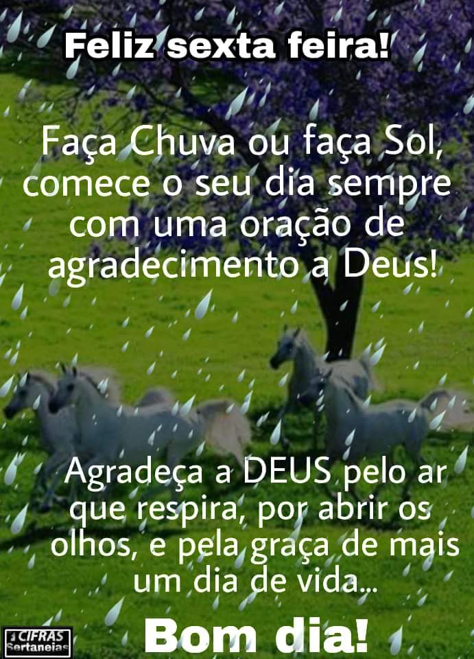 Geraldo M. Camargos (@camargosmoreira) on Twitter photo 