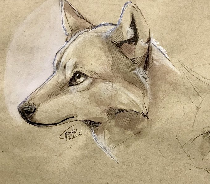「wolf」 illustration images(Oldest)