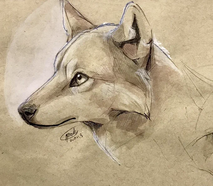 Wolves ??? 
