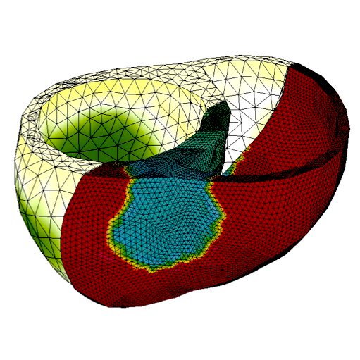 USI_INF's tweet image. #Research - Simulating the #heart activity has turned out to be one of the &quot;Grand Challenges&quot; in #ComputationalSciences. The aim of one of our projects at  #ICS #CCMC is to develop and realize a fully coupled electromechanical #model of the heart ics.usi.ch/index.php/comp…