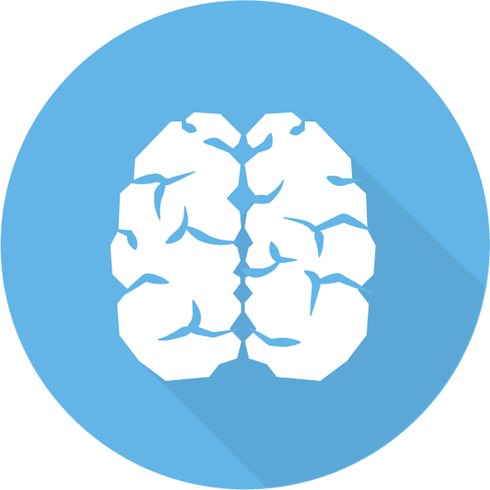 Synoptica tweet media