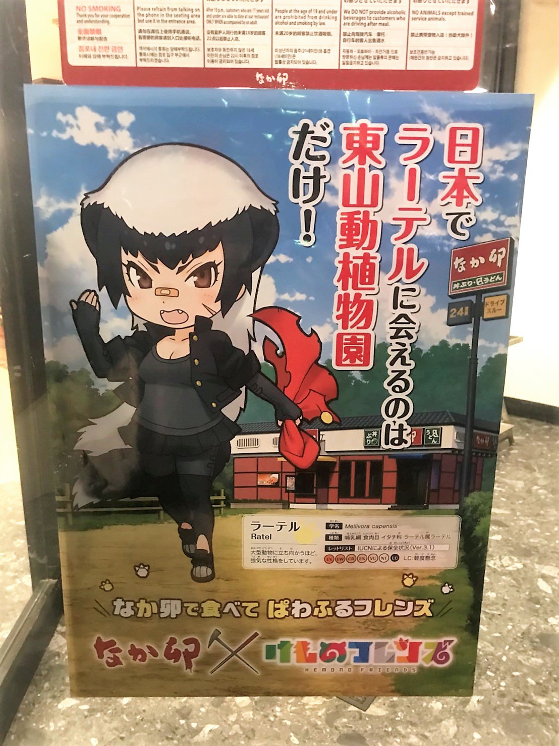 けものフレンズ 公式アカウント なか卯 とのキャンペーンに参加してもらったラーテルですが 日本で見られるのは愛知県の東山動植物園のみなんです ということで 最寄りの東山公園店には特別なポスターが 動植物園帰りにお立ち寄りください