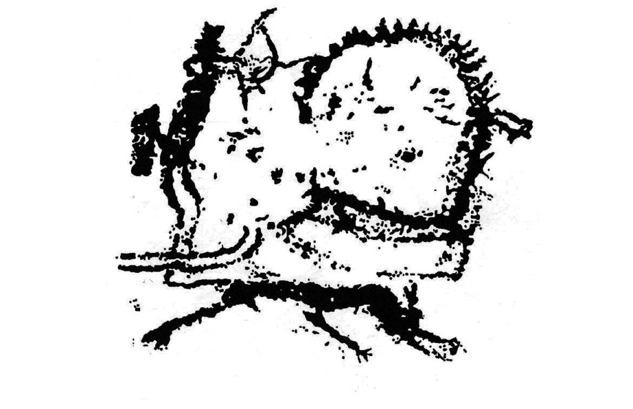 Баян-Өлгий аймгийн Улаанхус сумын нутаг Цагаан Салаа, Бага Ойгор голын хүрэл зэвсгийн үеийн хадны зураг одоогоос 5000 жилийн тэртээ бид цана хэрэглэдэг байсан. олимпийн тамирчиддаа амжилт