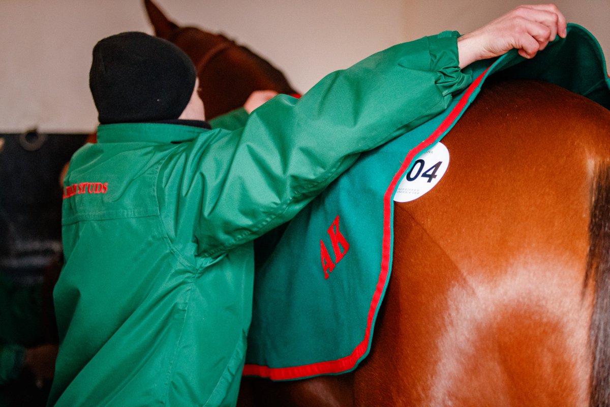 AgaKhanStuds's tweet photo. Thank you to all of the buyers who purchased horses from our draft at @Goffs1866 this week, we wish the best of luck to their new connections. #Sales #Auctions #Sourceofsuccess https://t.co/spI0rNcc62