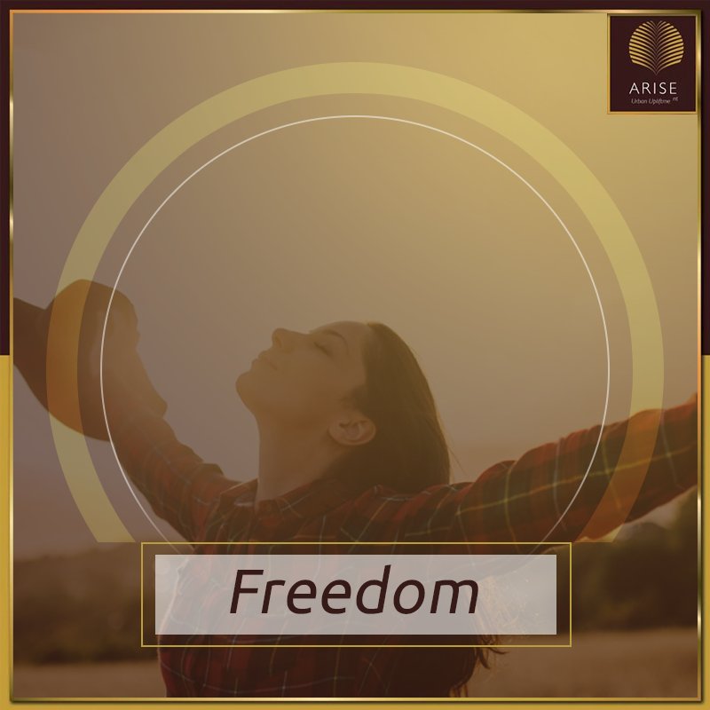 OriginCorpIndia's tweet photo. Enquire now to find and feel the real freedom at Arise. 
https://t.co/kkpKGeL2Ov
#RealEstate #Arise #Kandivali #Mumbai #Home https://t.co/lEjkBNezPS