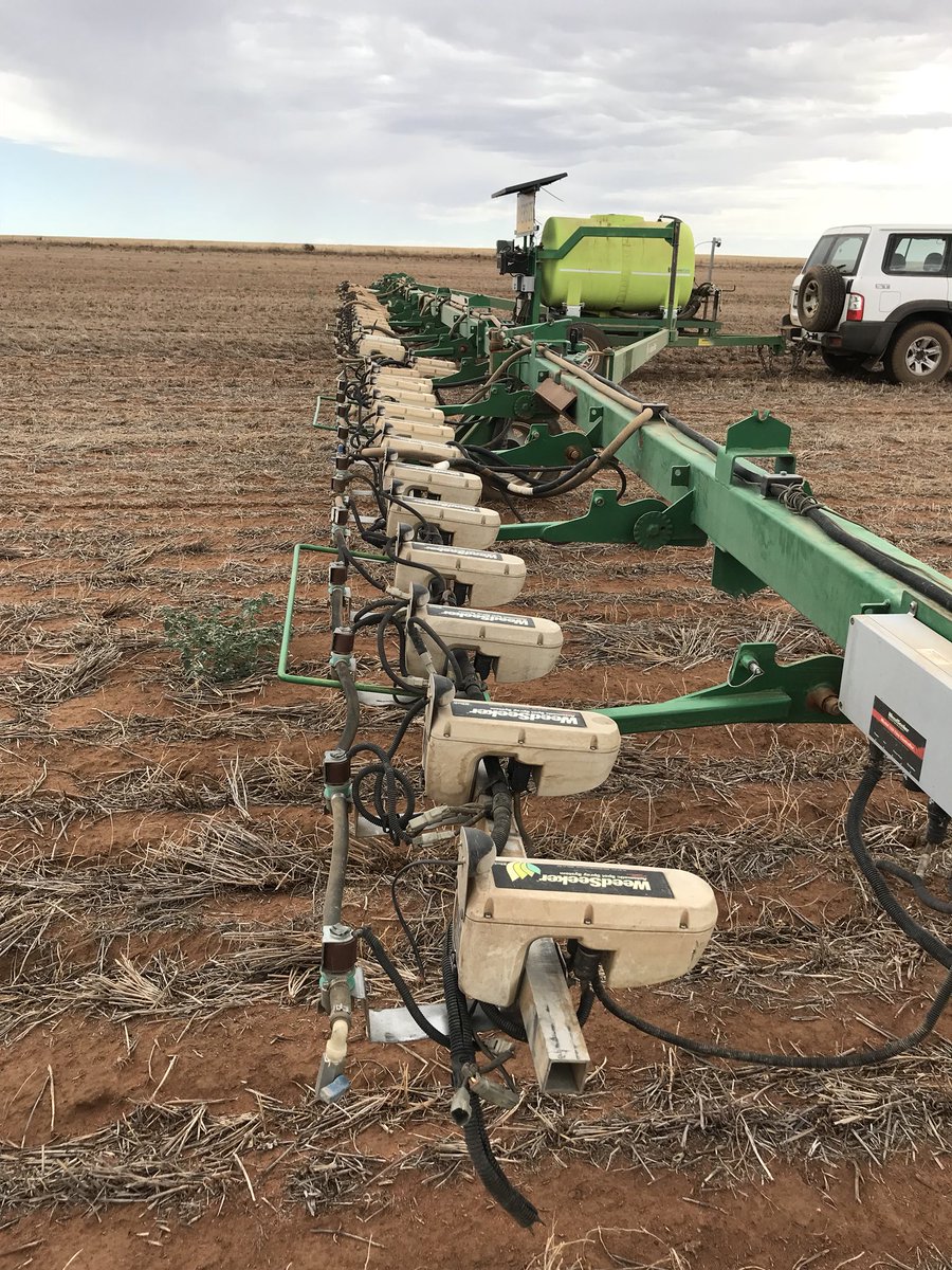 brettbarker92's tweet photo. Checked out a home made Weedseeker boom today. The paddock had a scattering of heliotrope and melons which was perfect to give it a test run. Plenty of $$$ to be saved on the later summer sprays here @aidanpmcgrath @JoashParker https://t.co/iEFaIHLCjy