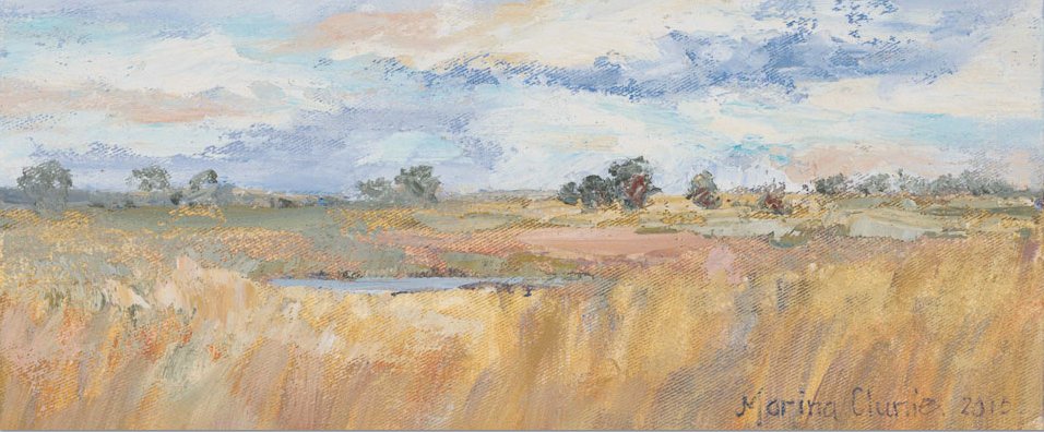 WestCoastWaySA's tweet photo. Marina Clunie's inspiration is the West Coast, water, old boats, never-ending beaches and the atmosphere of cloud-filled skies, which she depicts in oils and acrylics. #WestCoastWay #RiverStudio @bokkomlaan
https://t.co/17op17FASJ https://t.co/SiUV4RKWcK