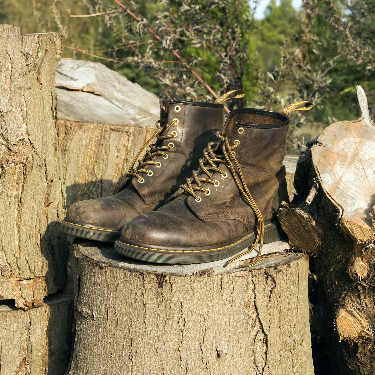 doc martens 1460 gaucho