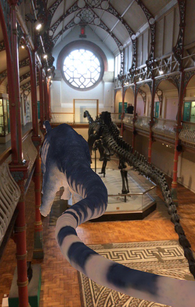 Palaeo_Go's tweet image. Our very own Augmented Reality #Dippy next to the Diplodocus carnegii skeleton in the @DorsetMuseum! It's a tight squeeze but there's room for both full scale dinos :) Get your own selfie from tomorrow on when #Dippy meets the public! 🦕#DippyOnTour #FossilFriday @jurassic_coast