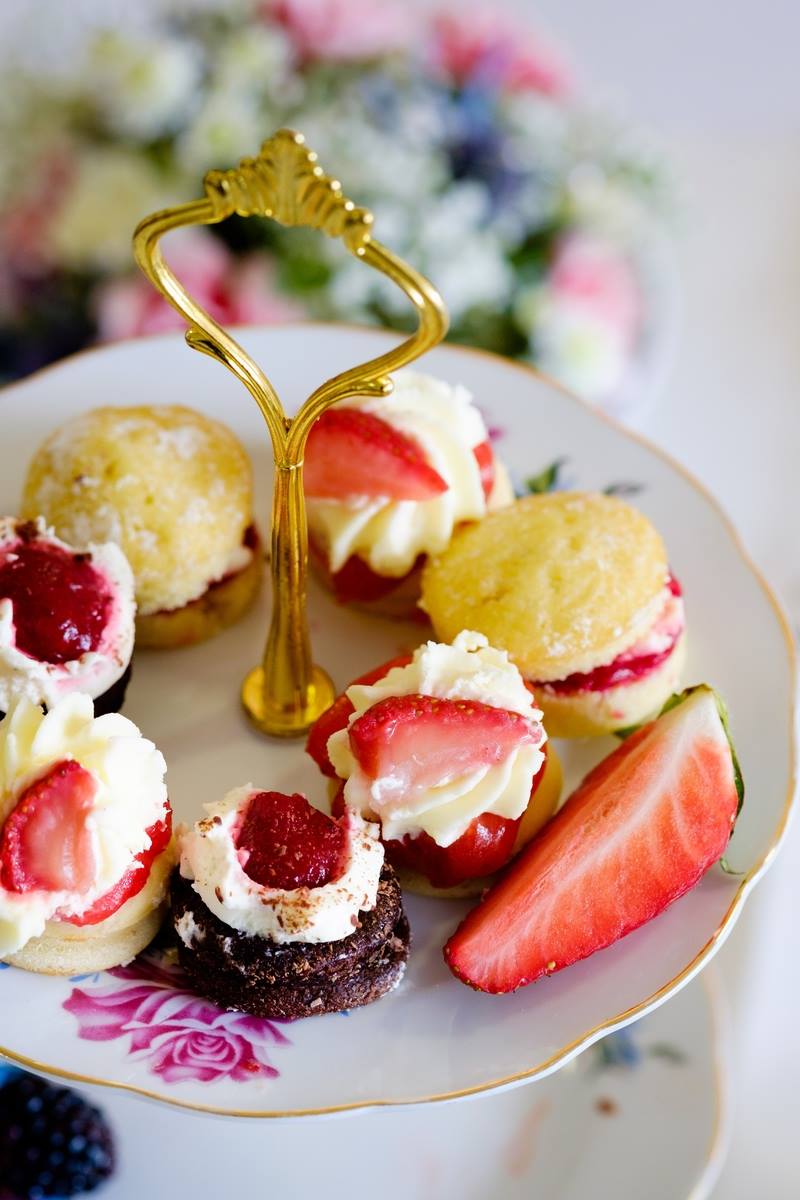 BishopBurton's tweet photo. 🐑 Win a Mother's Day treat - afternoon tea for four at #LambingSunday on 11th March, including entry to the event! Follow @bishopburtoncol and RT to enter. 🍰

Find out more about Lambing Sunday here: https://t.co/uIqnFKrgpN

Ends 16/2/18. T&amp;Cs: https://t.co/VUPsDbwcS4 https://t.co/byioJGSxCZ