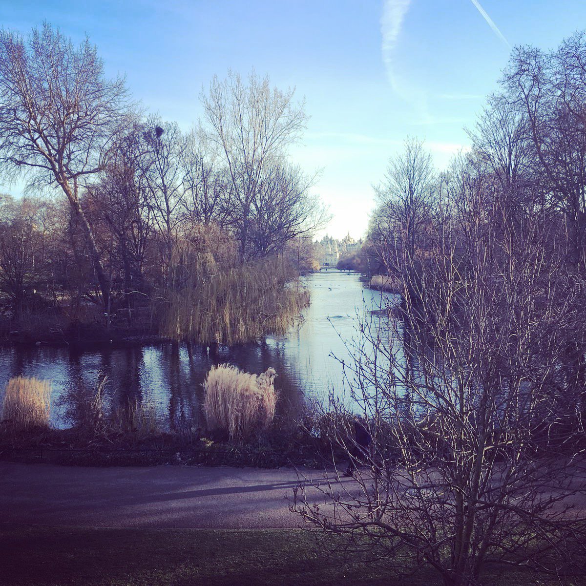 cheltvocalacademy tweet media