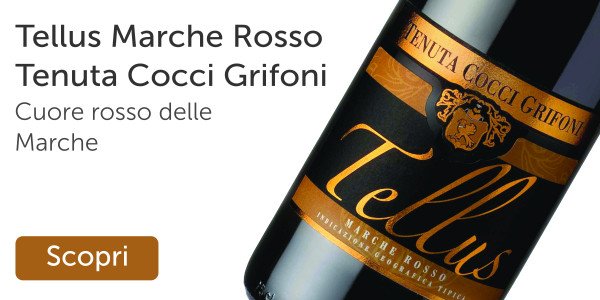 Dalle Marche un blend che dà grandi soddisfazioni » Scopri il Tellus di Tenute Cocci Grifoni svinando.com/tenuta-cocci-g…