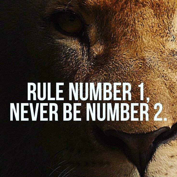 #HealthyFat tweet media