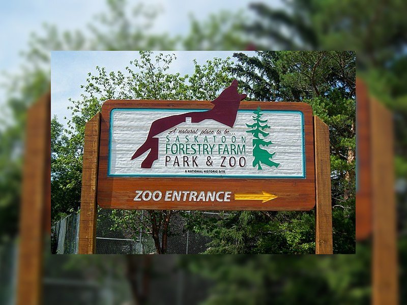 Frosted Gardens Begins Tomorrow Morning dlvr.it/QFhycb https://t.co/kN1NNiNj34