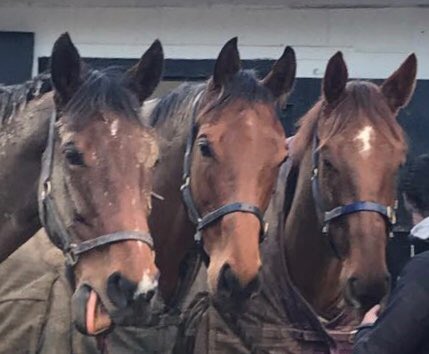 beaubai's tweet photo. Just in from the field #mudgalore https://t.co/3Y4Uxa530n