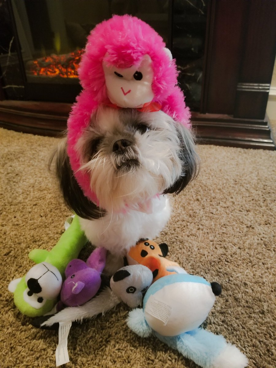 Dorian A. Kelton tweet media