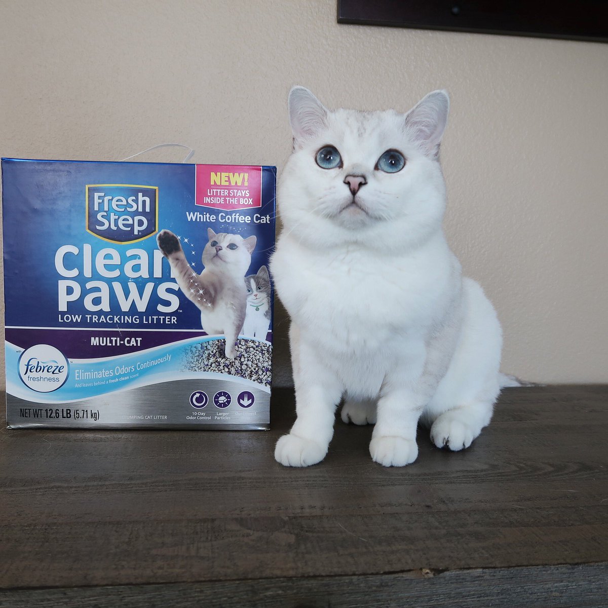 Wanna travel to the future with me? 🔮Imagine this, a floor without litter! <a href="/FreshStep/">FreshStep</a> introduces Clean Paws, a revolutionary new low tracking litter that helps keep both paws and floors clean! Available Feb 2018.To learn more visit freshstep.com . #ad