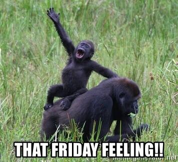 NiagaraGutter's tweet image. #FridayFeeling
#HappyFriday 
#NiagaraGutter