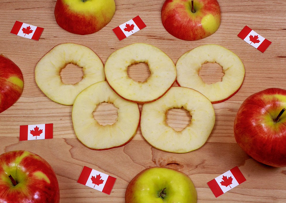 bctreefruits's tweet image. Happy #Friday and first day of the winter @Olympics! Good luck @TeamCanada we're cheering for you back home! 🍎🇨🇦 #PyeongChang2018 #TeamCanada #BCTFApples