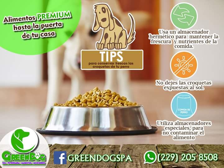 GreenDogSpaMX's tweet photo. Sabemos lo importante que es para ti la alimentación de tu mascota, te dejamos consejos básicos para que tu perro tenga siempre alimento fresco y limpio. 
Recuerda que nosotros te llevamos hasta la puerta de tu casa el alimento de tu preferencia .
#greendogspa #petfriendly https://t.co/jGZPyZF59Y