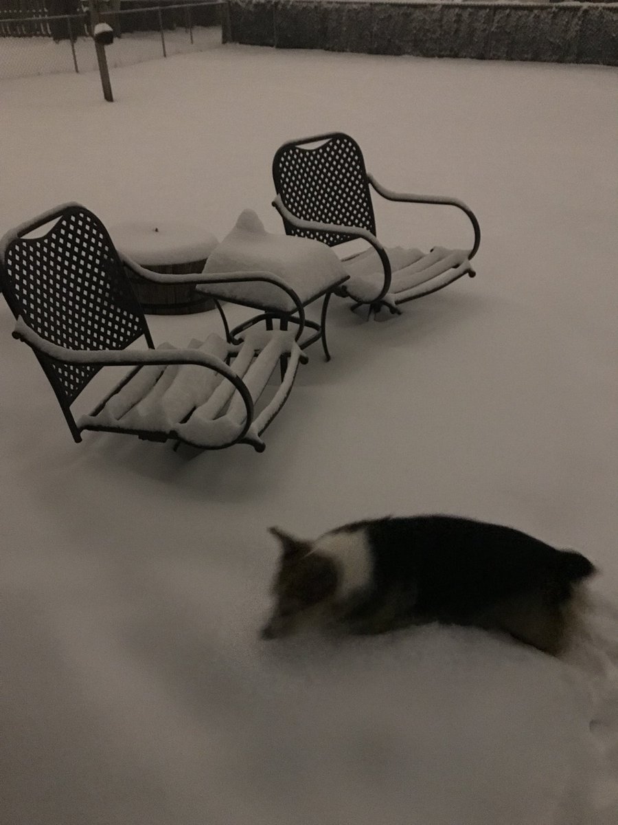 mebrickley's tweet photo. West Aurora at 6:00am #snowday #nbcchicago https://t.co/wql209hGmJ