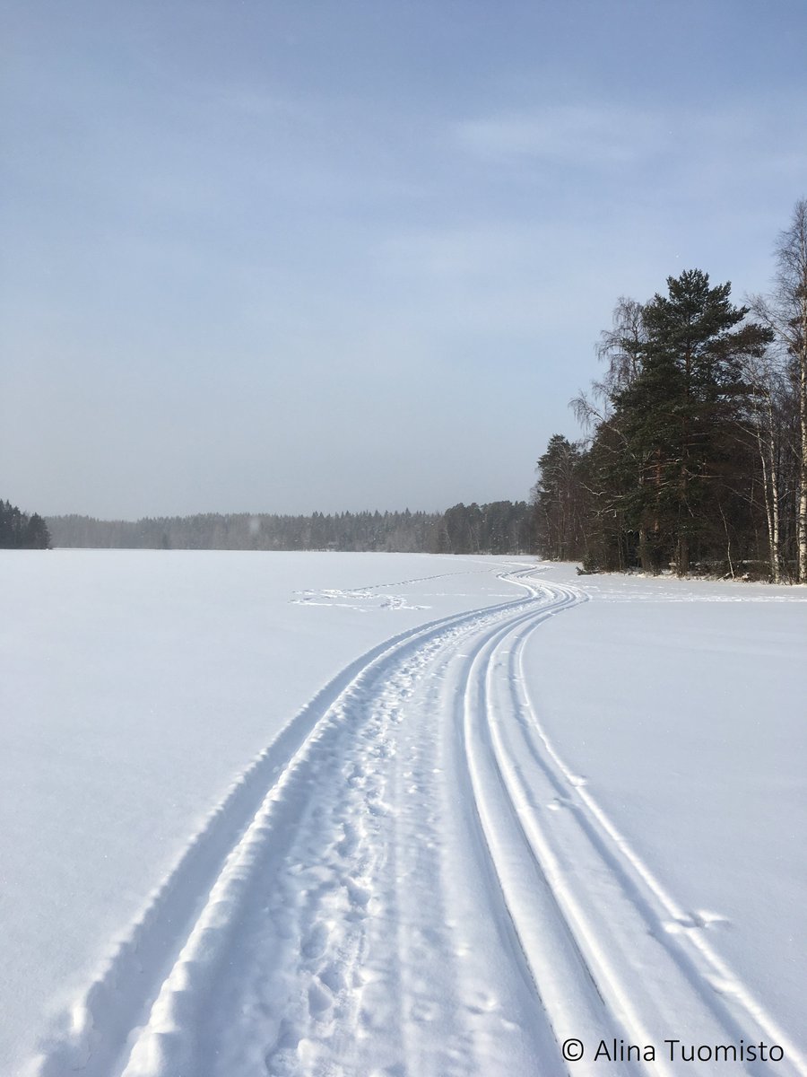 Luontopalvelut's tweet photo. Viikonloppuna ladulle? #Hiihto'kelit ovat kohdillaan melko lailla koko Suomessa. Nyt ilo irti 
#luonto #talvi #retkeily #kansallispuisto https://t.co/AQgJVdFAbh