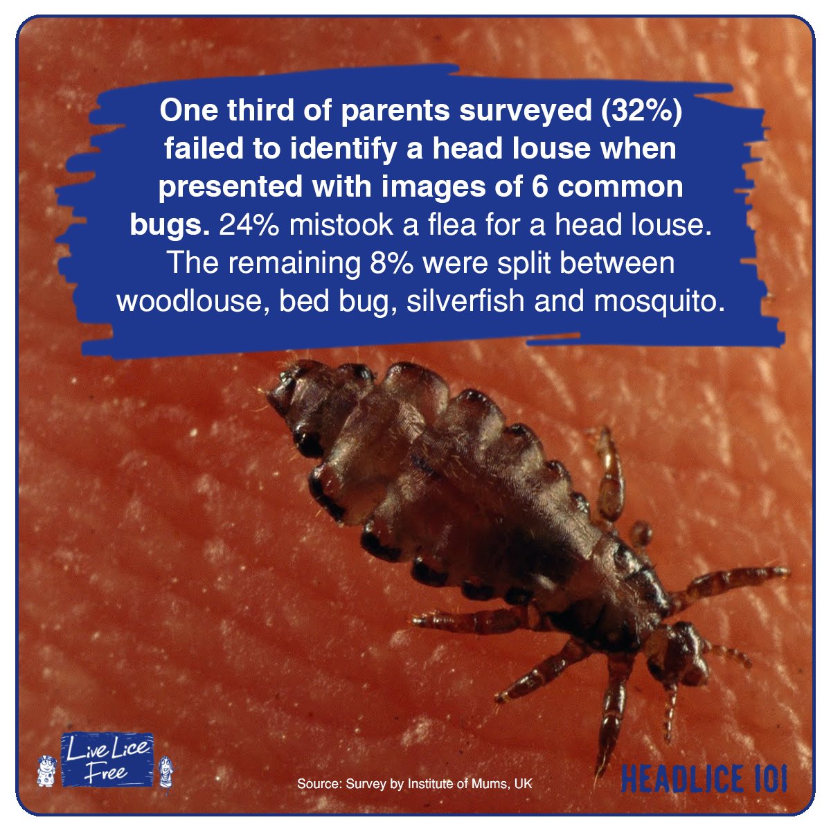 LiveLiceFree's tweet photo. You don't know anything about #Headlice ? No worries! We will give you every sort of details about these nocturnal monsters.
#lice #licefacts #Livelicefree https://t.co/IvS37UNFgM