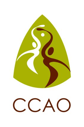 Electric Ireland Third Level Camogie tweet media