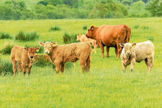 Rural Entrepreneur (@ruralent) on Twitter photo "Key groups get together to boost rural innovation" @GMackenzie_PJ <a href="/pressjournal/">The Press and Journal</a> <a href="/IFarmers/">Innovative Farmers</a> <a href="/SoilAssociation/">Soil Association</a> <a href="/David_J_Michie/">DAVID MICHIE 🍓🥔🌾</a> pressandjournal.co.uk/fp/business/fa… "Key groups get together to boost rural innovation" @GMackenzie_PJ <a href="/pressjournal/">The Press and Journal</a> <a href="/IFarmers/">Innovative Farmers</a> <a href="/SoilAssociation/">Soil Association</a> <a href="/David_J_Michie/">DAVID MICHIE 🍓🥔🌾</a> pressandjournal.co.uk/fp/business/fa…
