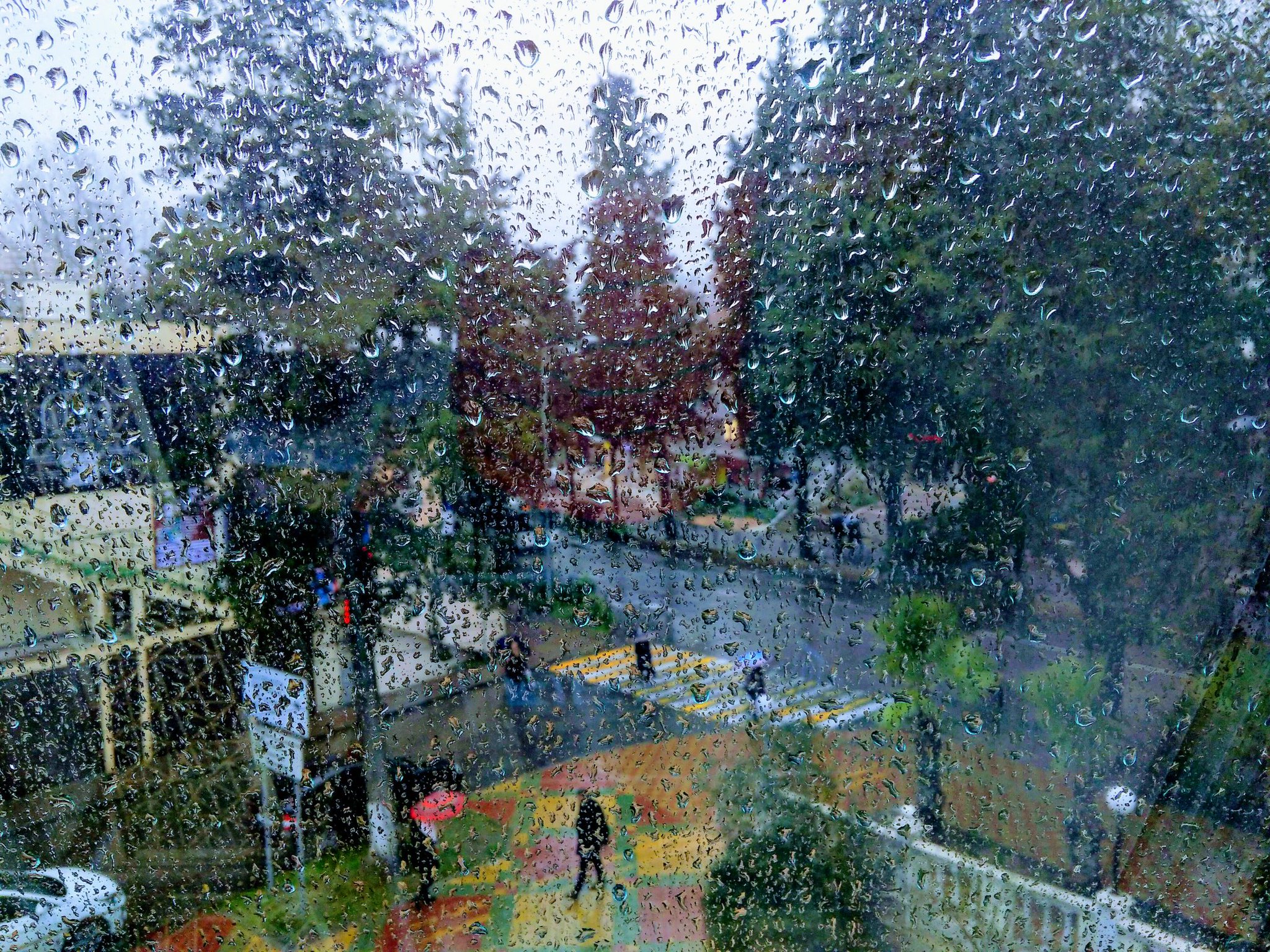 Набережная адлер сочи зима дождь. Дождливый сочи. Ливень. Красная поляна сочи дождь. Дождь в сочи.