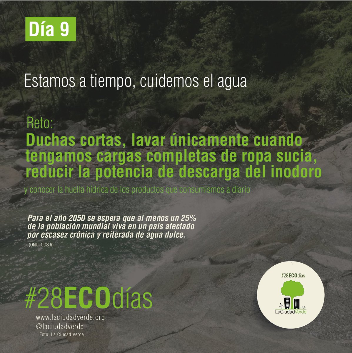 LaCiudadVerde 🌳🚲 tweet media