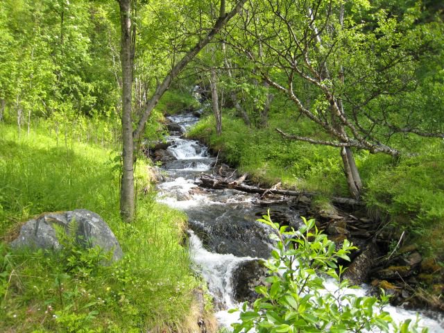 mielenterveys's tweet photo. Maksuttoman Oiva-harjoitusohjelman avulla voit lievittää stressiä, parantaa mielialaa ja löytää lisää mielekkyyttä elämään. #mielenterveys #mieli https://t.co/UCO9jKMpfS https://t.co/d0Y9wobwnD