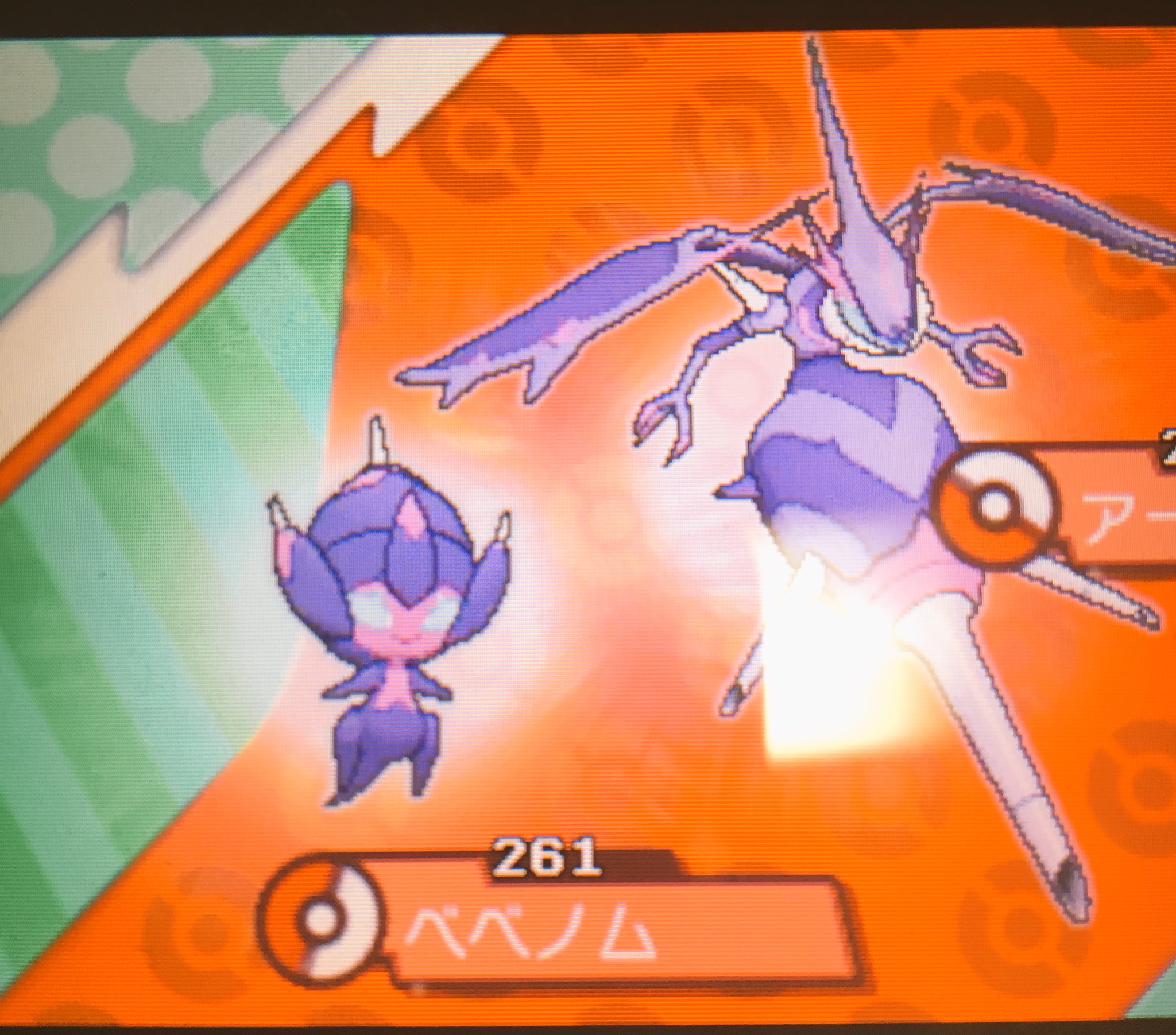 ぺちこ ポケモンusum Twitter पर ウルトラサンムーン アローラ図鑑コンプリートしました W 最後のポケモンはべベノムでした やっと色違い厳選がはじめれる W まずはカビゴンの色違い Wがんばるぞー ウルトラサンムーン ポケモン