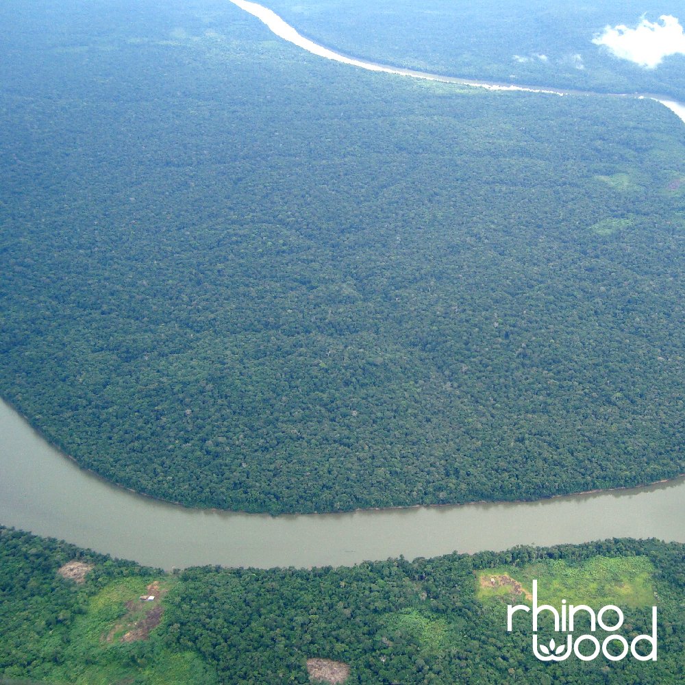 rhino_woodSA's tweet image. Deforestation reduces the planet's ability to store carbon &amp;amp; this adds to climate change. Here’s a planet-friendly timber alternative 
#deforestation #amazonforest  #thermallymodifiedtimber