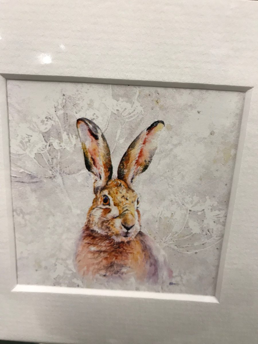 TenterdenGardenCentr tweet media