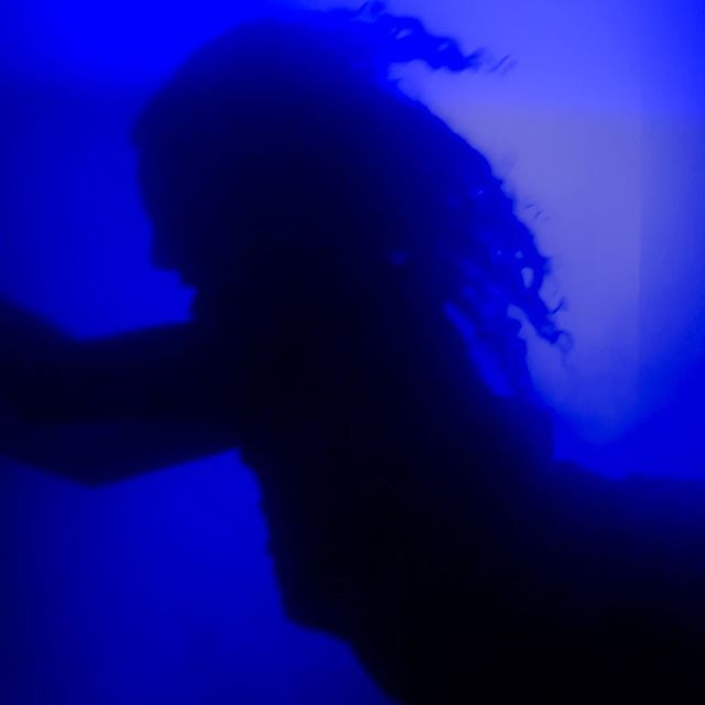 cedavision's tweet photo. The world is blue . . . 
#MusicVideo #Music #Photo #Photography #Videography #Video #Africa #Dance #Lorena #Blue https://t.co/s3AwjyyInz https://t.co/1WOMYcnhiJ