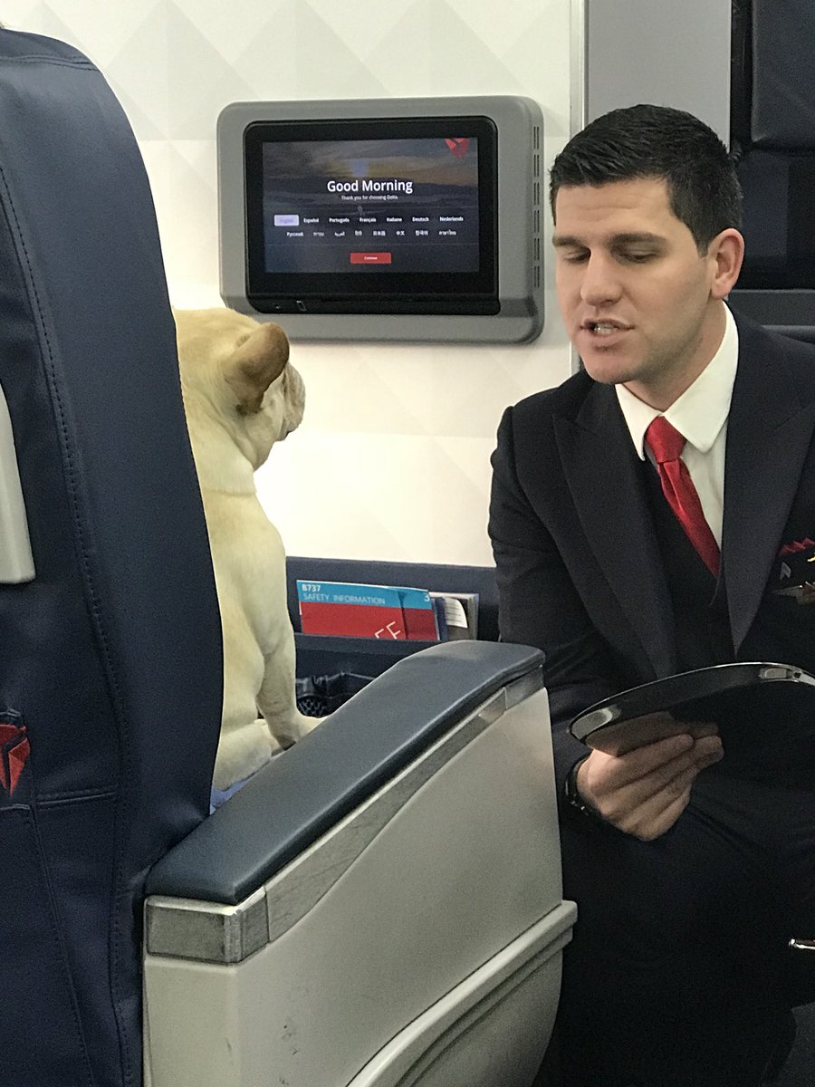keezo's tweet photo. Now I have seen everything in life. Dog just ordered the omelette for breakfast. #Delta https://t.co/WkhgDB4MIG
