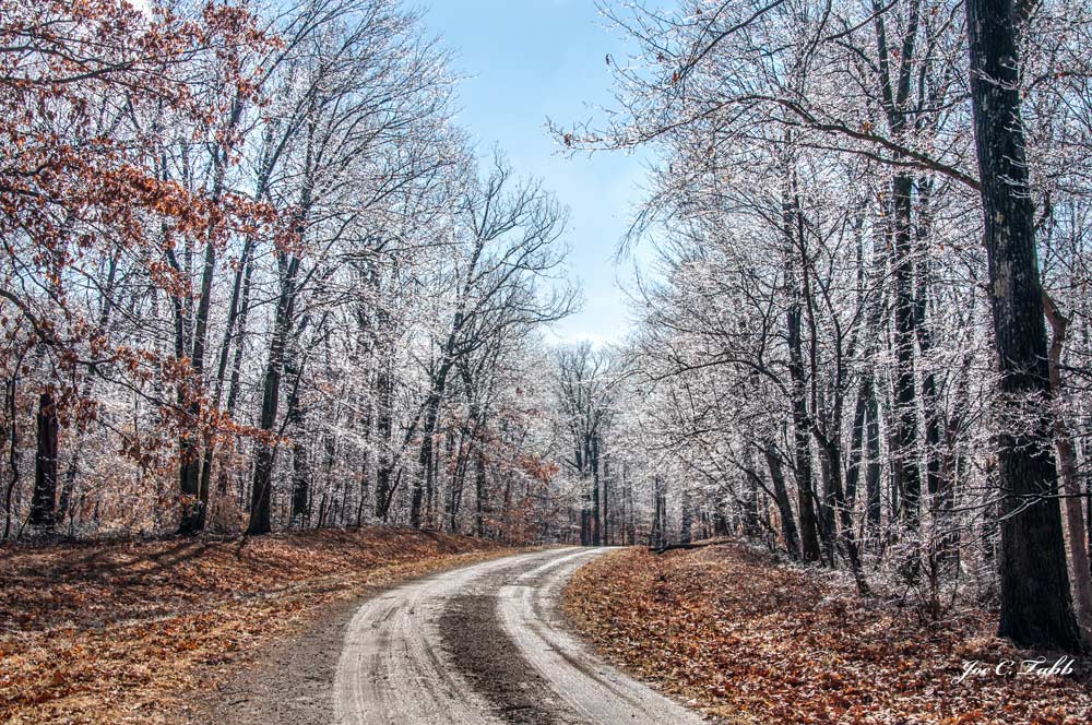 joectabb's tweet photo. The ice @BernheimForest yesterday morning was beautiful!  #icy #bernheimforest #winter #kentucky https://t.co/H8DA9yAQKe