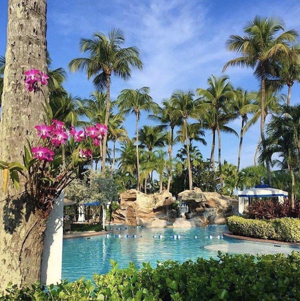 InterConSanJuan's tweet photo. Waking up to this on a Friday โ๏ธ๐ด Meet us at the pool.
#Friyay #PRStrong #LiveInterContinental #Travel #Caribbean https://t.co/zv5d31dEEl