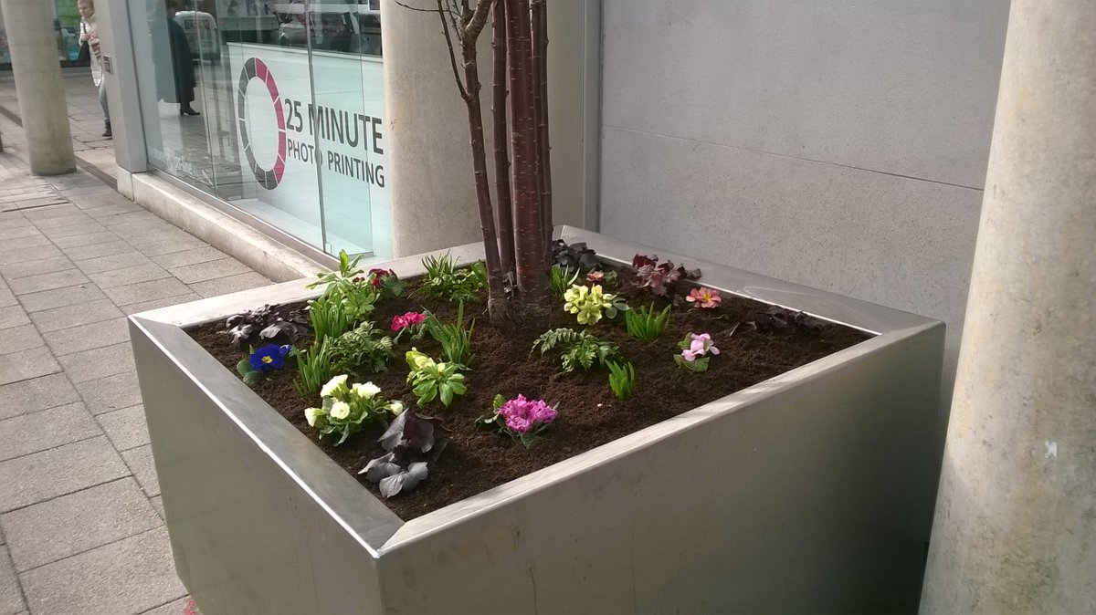 WestSuffolkMKTs's tweet image. Planters all planted up thanks to @burystedmarket traders for supplying plants @stedsbc gardeners for a great job &amp;amp; @BuryinBloom for supporting local markets @nmtf @nabma @Mel4Bury @ourburysteds