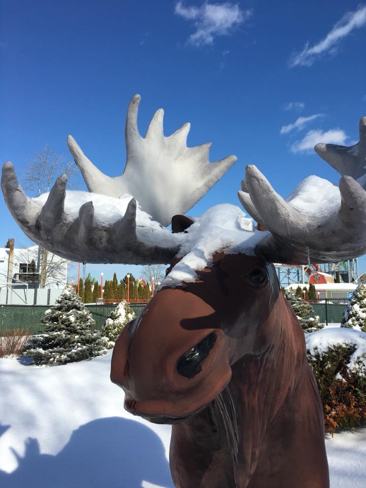 funtownusa's tweet photo. Photos from after Wednesday's storm. As of today, there are only 92 days until Opening Day! #funtownsplashtownusa #themainething #mainebeaches #sacomaine https://t.co/LcNlFdPzWj
