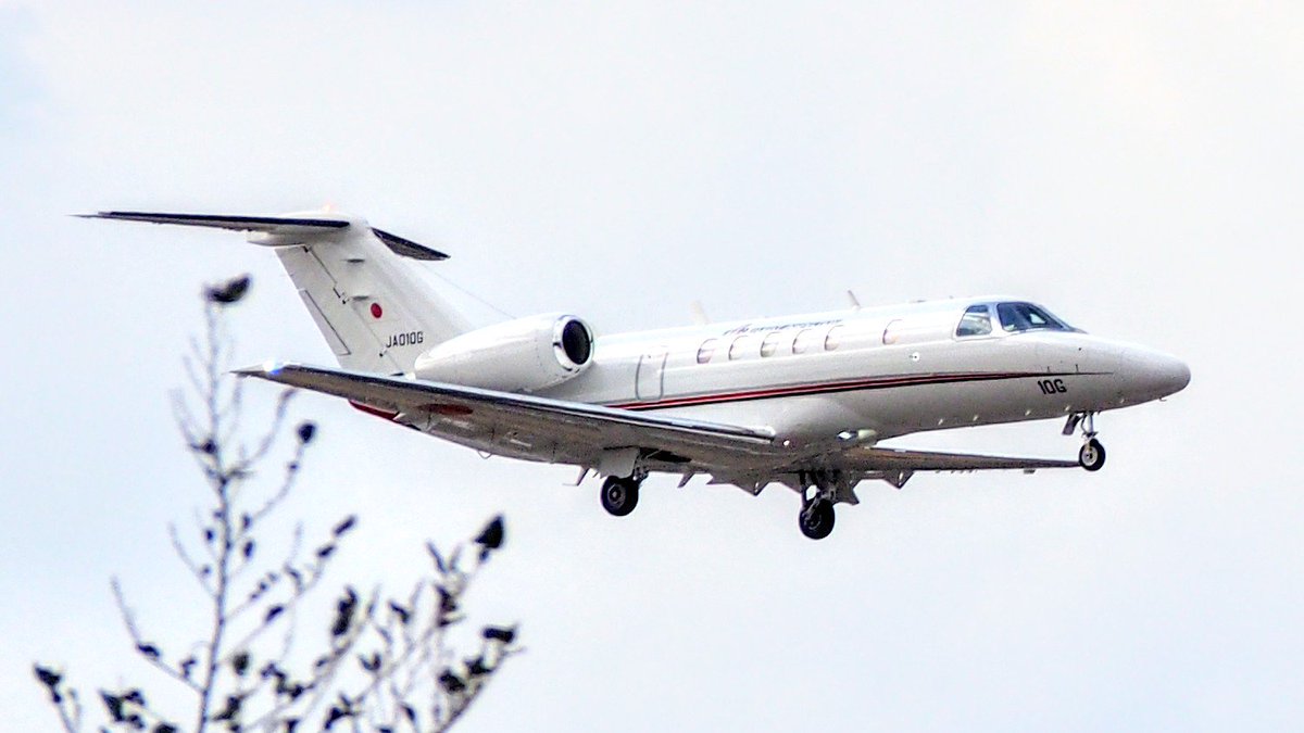 k19ch1's tweet photo. 八丈島空港(RJTH)にCessna 525C Citation CJ4が飛来。
callはチェックスター10
空港設備のチェックかな…
#八丈島空港 #RJTH #JA010G #JCAB
#八丈島民図鑑 https://t.co/fp85hLbfeR